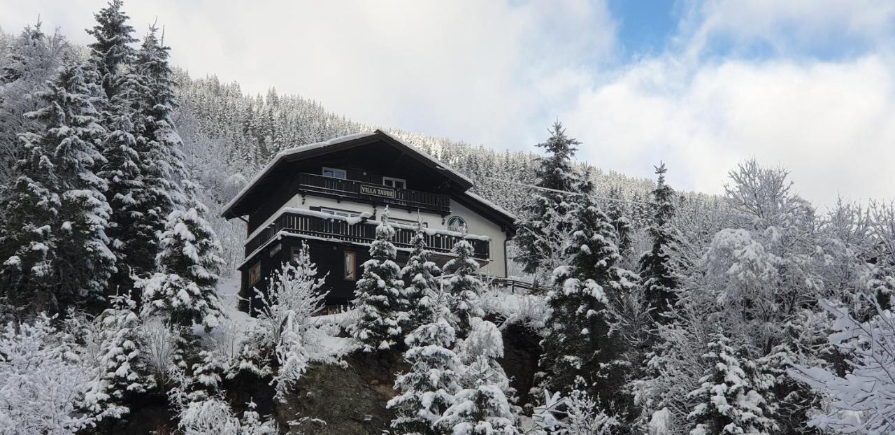 Villa Taube Bad Gastein Εξωτερικό φωτογραφία